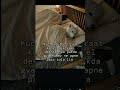 Mummy Rocked 💀 Dogesh shocked 😳||#shortvideo #dog #like