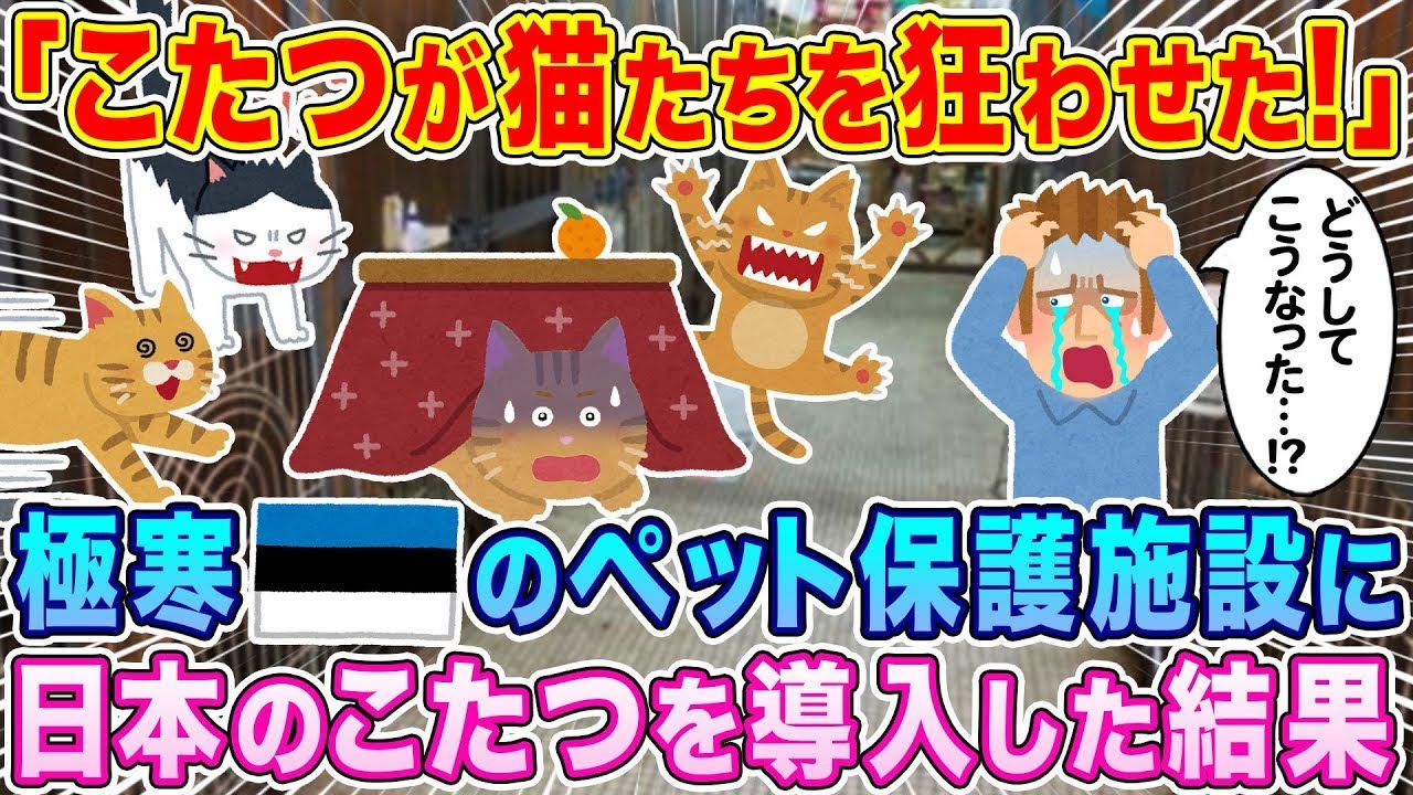 「こたつが猫たちを狂わせた！」極寒エストニアにあるペット保護施設に、日本のこたつを導入した結果…w【海外の反応】【ゆっくり解説】