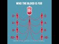 Which blood group goes into which group?