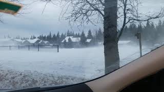 Blizzard 2020 Snoqualmie Ridge