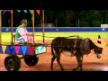 Eastbound and Down 2ª Temporada - Ele está de volta 3! 