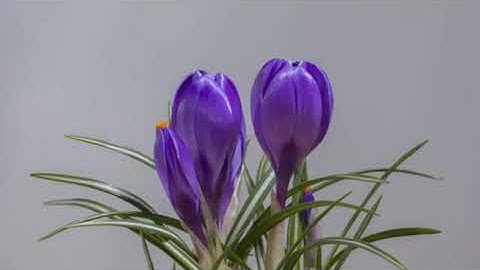 شهر رمضان الذى أنزل فيه القرآن|تلاوة هادئة |قرآن كريم