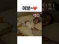 엄마가 하는 말은 다 따라하고 보는 아기 엄마가 하는 말은 다 따라하고 보는 아기