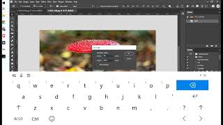 Image resize and colour space for Photo Entry