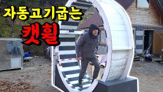 I made a giant cat wheel that automatically grills meat.