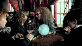 Hermione and Prof Trelawney