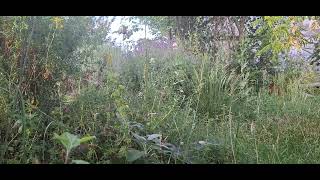 Pesach Losbreken Uit De Slavernij