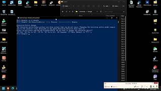 Window 11 Google Play Service screenshot 2