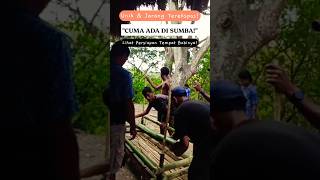 Bukan Sembarang Kandang! Uniknya Cara Orang Sumba Menyiapkan Tempat Babi Pesta Adat #marapu #budaya