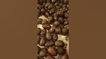Clean Pecans 🤣
