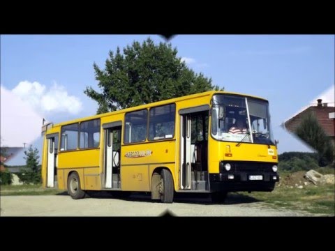 JSZ-001 IKARUS 260
