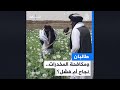 تباين المواقف حول مدى نجاح طالبان بمحاربة المخدرات في أفغانستان