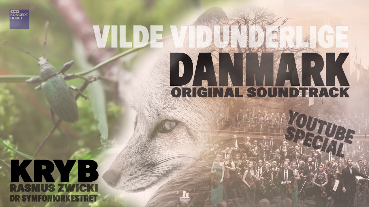 Vilde vidunderlige Danmark - Kryb // DR SymfoniOrkestret (YouTube Special)