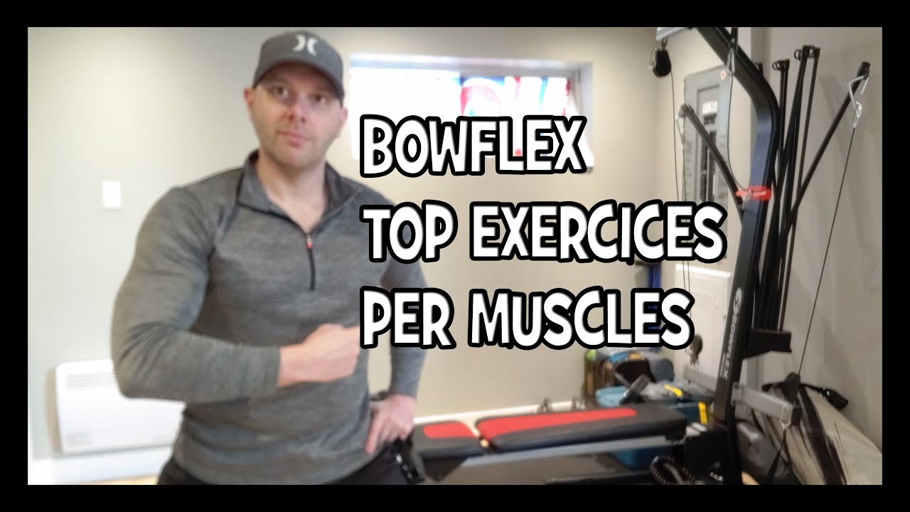 Bowflex Pr Workout Poster Blog Dandk