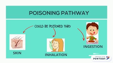 PYRETHROIDS INSECTICIDES