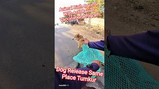 Dog Release Same Place Tumkur #dog #release #dogwithpublicsafety #ytviral #pets #dogshorts #shorts