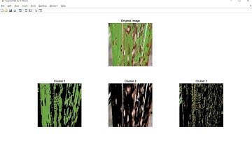 Sugarcane Leaf Disease Detection and Severity || Engineering Project || Final Year Project || IEEE |