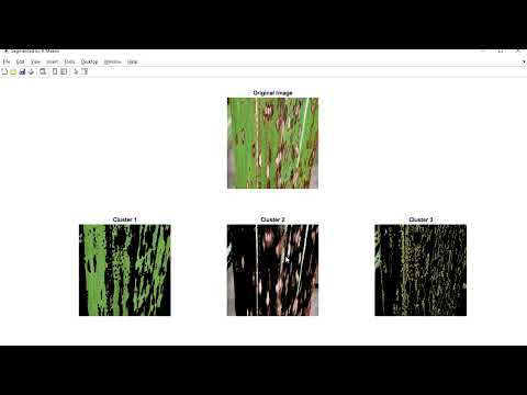 Sugarcane Leaf Disease Detection and Severity || Engineering Project || Final Year Project || IEEE |