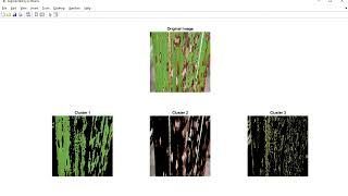 Sugarcane Leaf Disease Detection and Severity || Engineering Project || Final Year Project || IEEE |