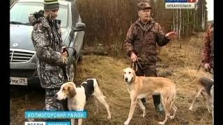 5 11 13 Вести охота 5 11 13 Вести охота
