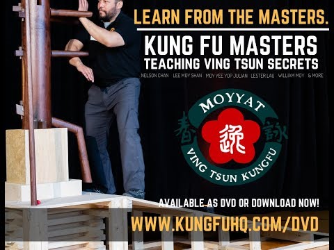 Preview: Kung Fu Masters - Teaching Ving Tsun Secrets