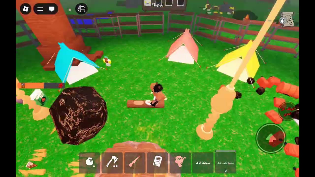 ١٣ يناير ٢٠٢٦