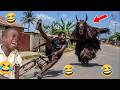 😱 She Thought It Was Real! 😂 Funniest Bushman Prank Reactions Ever Caught On Camera 2026