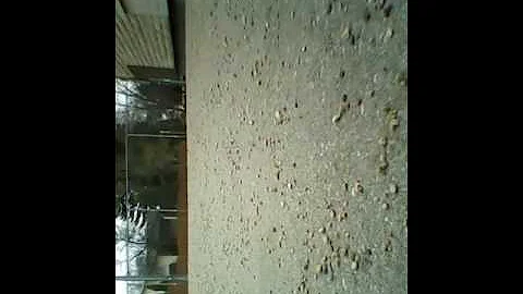 Emma Marie mckinnon riding bike at the park
