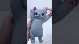 SQUISHY ASMR🐱🐱Cat#asmr
