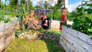 Gardening made easy! Tips and tricks in a Raised Bed Garden Tour!