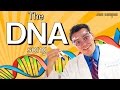 The DNA Song Parody Of Fetty Wap Trap Queen mp3