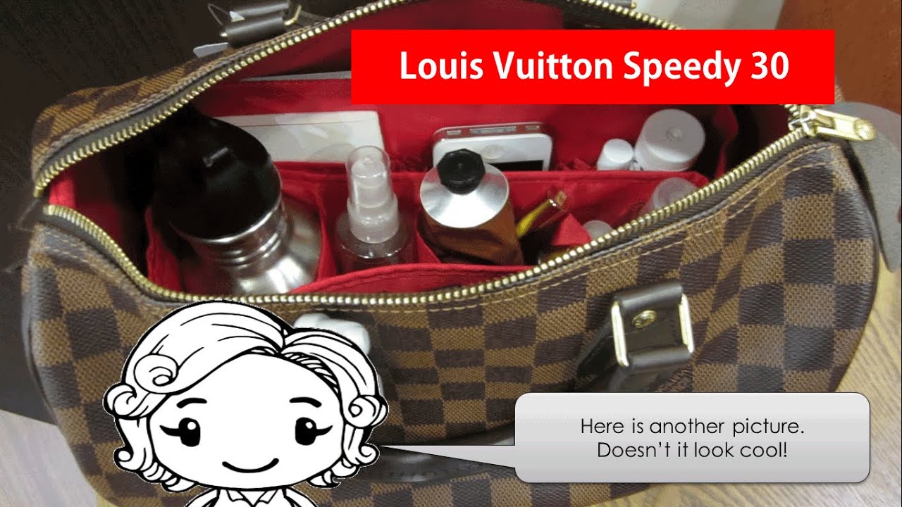 Speedy 25 Organizer IQS Executive