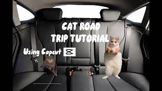 How to make a cat road trip video! (Capcut)
