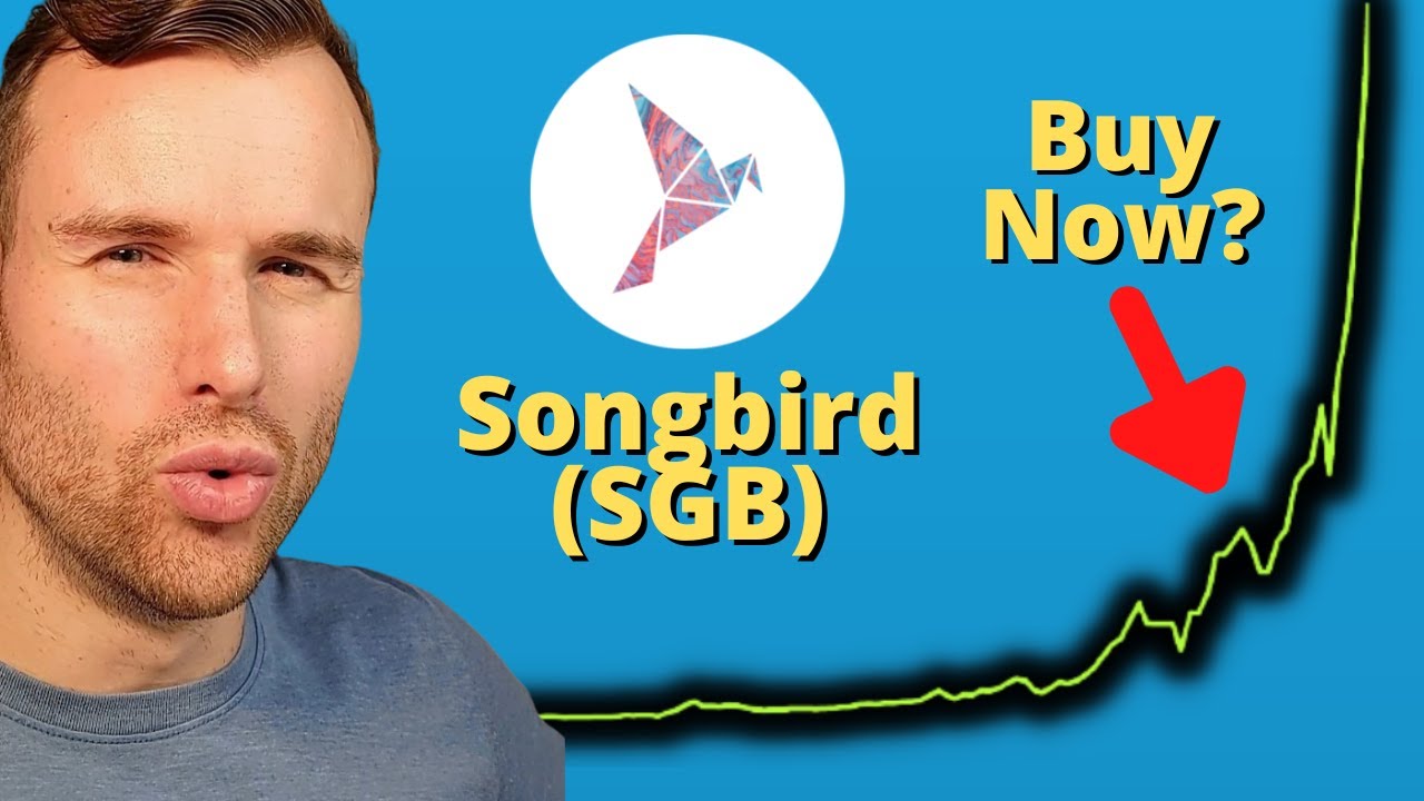 Why Songbird is up ⚠️ SGB Crypto Token Analysis