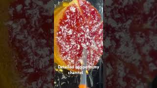 Honey cake food subscribe like viral support youtube cake