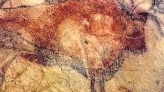 Paleolithic Art