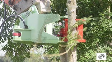Oriel Attachments Tree Shear-Crunch-Crunch