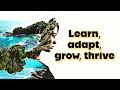 Learn adapt grow and thrive through continuous improvement