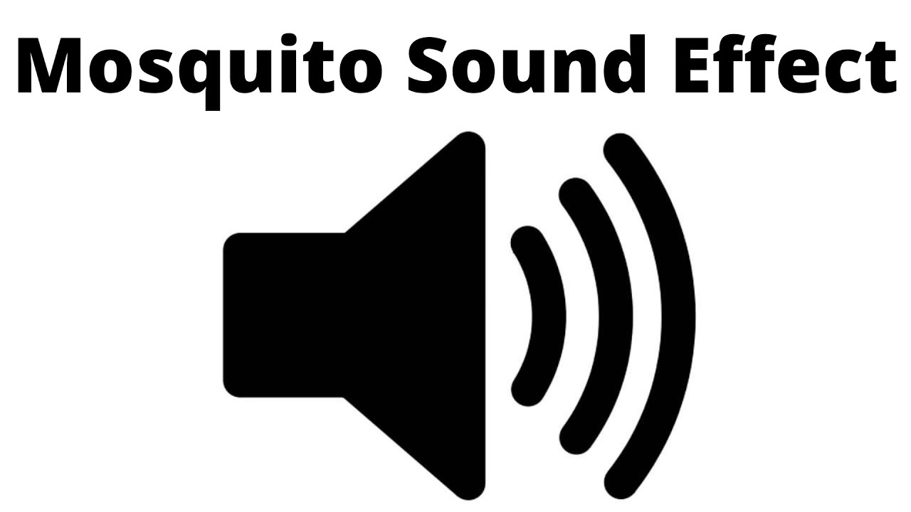 Mosquito Sound Effect No Copyright Buzzing