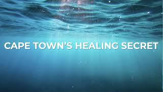 Boost Your Winter Wellness: Expert Acupuncture in Cape Town with Gideon le Roux