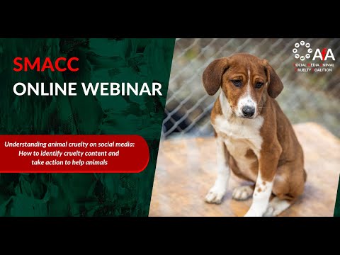 Video: Hvordan ASPCA Anti-Cruelty Behavior Team omdanner traumeofre til store dyr