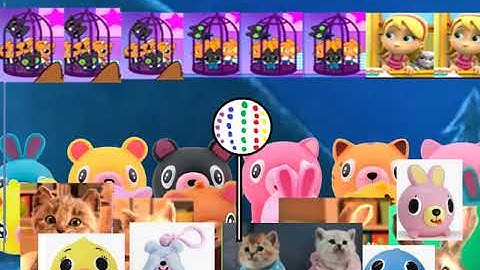 Schiffie & Co - Pinguïndans - Pinguindans