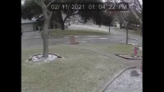Tree branch comes down under weight of ice