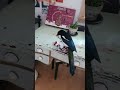 Malie nimmt meinen Kalender für sich ein 😂