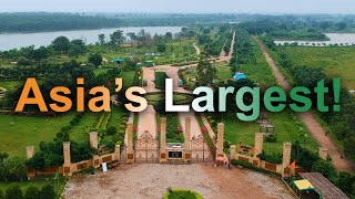 The LARGEST Man-Made Safari in Asia 🐯 (New Raipur, India)