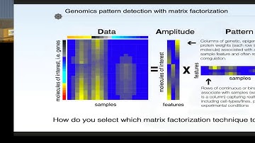 CCMB Seminar 3/27/19 Elana J. Fertig