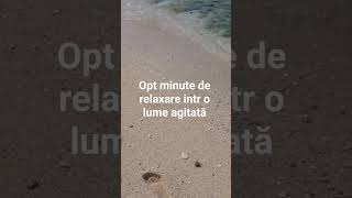Opt minute de relaxare într o lume agitata#liniste#doinacotfas #muzicaantistres #relaxare#paceful#