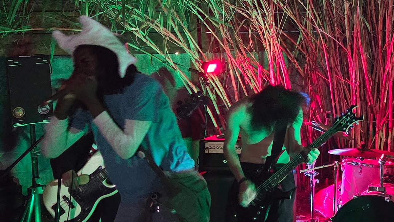 More Grindcore Backyard House Show in Downtown Las Vegas