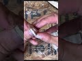 Inlay an antler ring with me! #antlerring #theantlereddoe #deerantlers #antlerjewelry