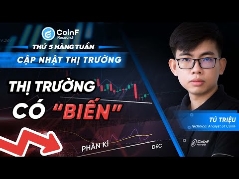 Video: Bệnh này ảnh hưởng đến 80% Shiba Inus. Là con của bạn âm thầm đau khổ?